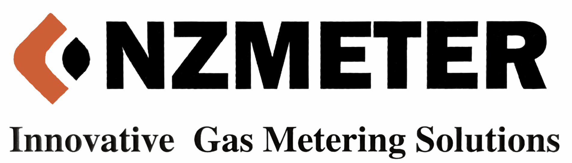 NZ Meter Logo
